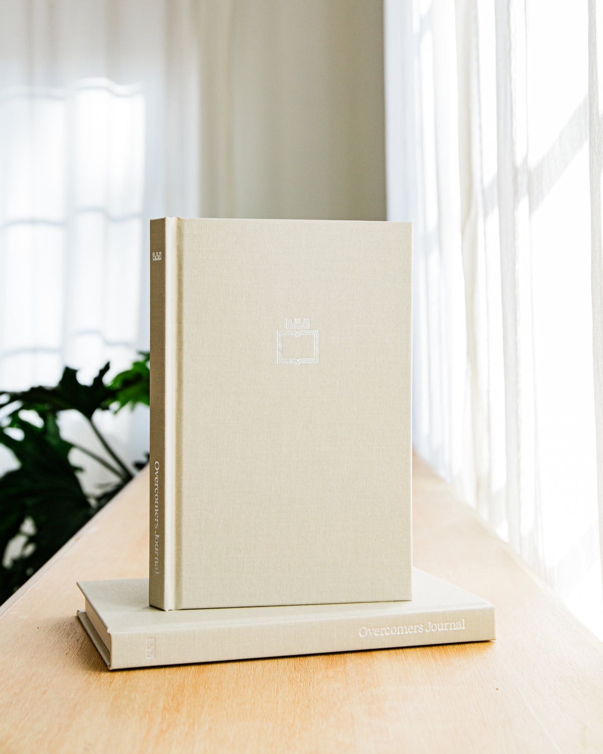 Wholesale case of 20 Overcomers Journals for churches and groups